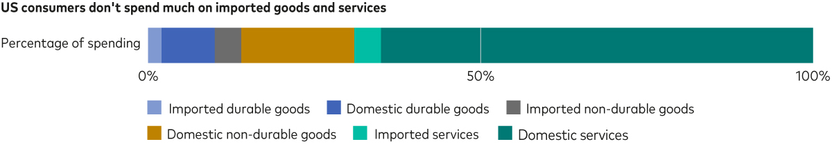 A bar chart breaking down the US consumer’s consumption basket by category and source. Imported durable goods is 2%, domestic durable goods is 8%, imported nondurable goods is 4%, domestic nondurable goods is 17%, imported services is 4% and domestic services is 65%.